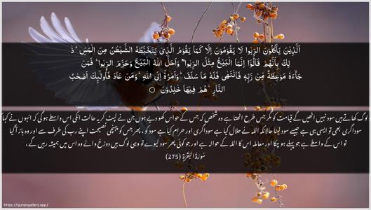 Al-Baqara Ayah 275 - Arabic + Urdu wallpaper