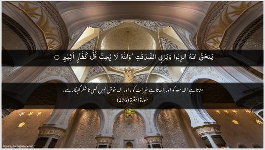 Al-Baqara Ayah 276 - Arabic + Urdu wallpaper