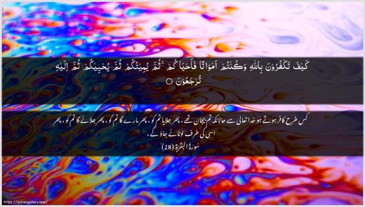 Al-Baqara Ayah 28 - Arabic + Urdu wallpaper
