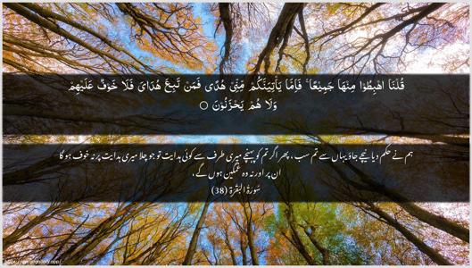 Al-Baqara Ayah 38 - Arabic + Urdu wallpaper