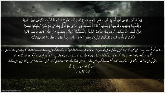 Al-Baqara Ayah 61 - Arabic + Urdu wallpaper