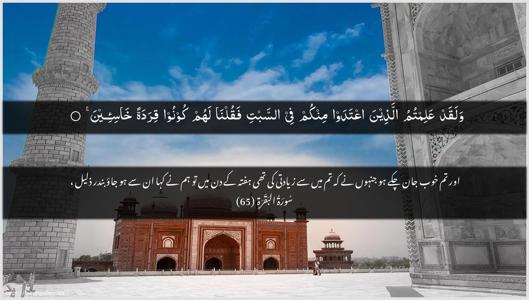 Al-Baqara Ayah 65 - Arabic + Urdu wallpaper