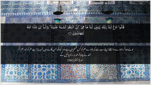 Al-Baqara Ayah 70 - Arabic + Urdu wallpaper