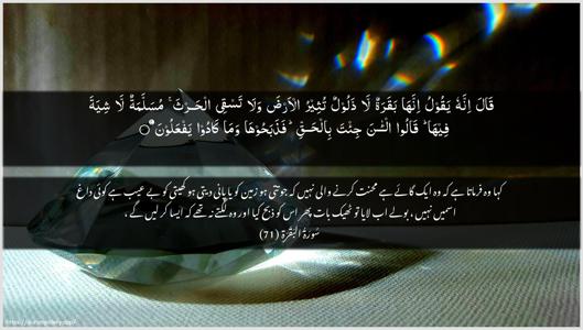Al-Baqara Ayah 71 - Arabic + Urdu wallpaper
