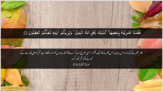 Al-Baqara Ayah 73 - Arabic + Urdu wallpaper