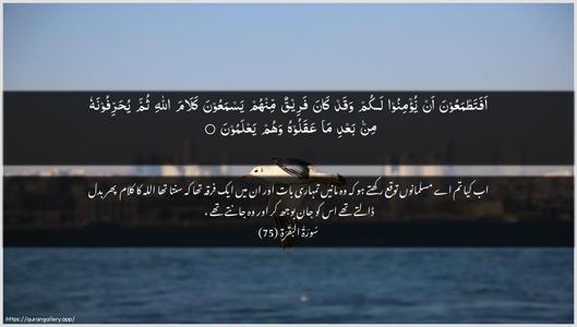 Al-Baqara Ayah 75 - Arabic + Urdu wallpaper