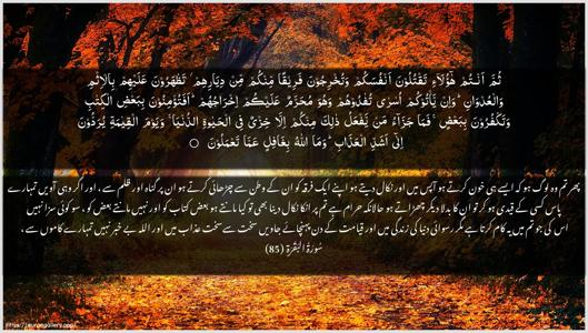 Al-Baqara Ayah 85 - Arabic + Urdu wallpaper