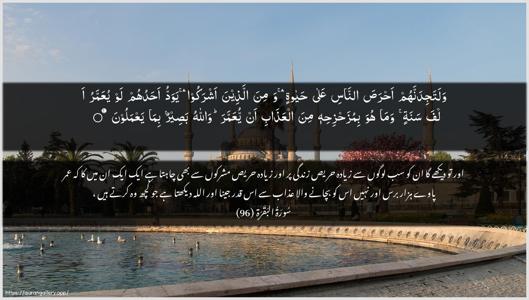 Al-Baqara Ayah 96 - Arabic + Urdu wallpaper