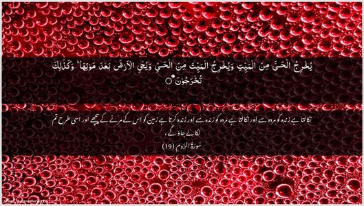 Ar-Room Ayah 19 - Arabic + Urdu wallpaper