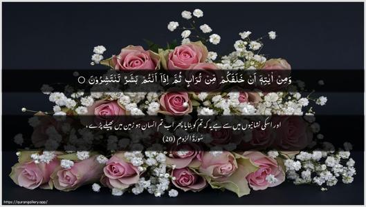 Ar-Room Ayah 20 - Arabic + Urdu wallpaper