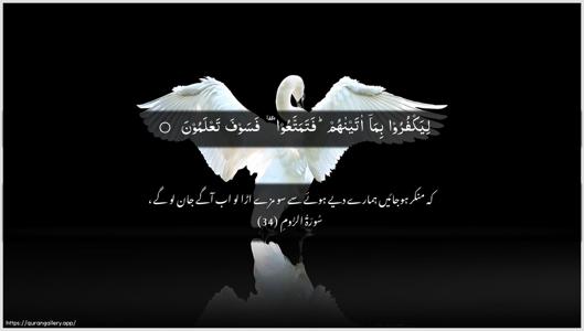 Ar-Room Ayah 34 - Arabic + Urdu wallpaper