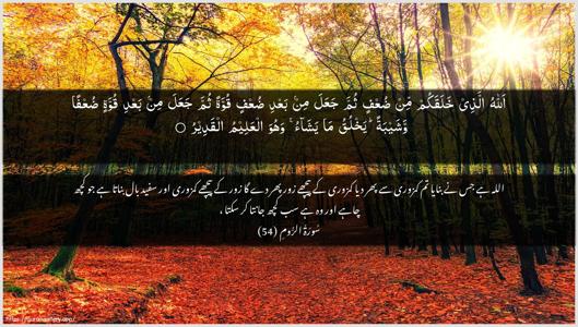 Ar-Room Ayah 54 - Arabic + Urdu wallpaper