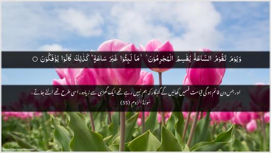 Ar-Room Ayah 55 - Arabic + Urdu wallpaper