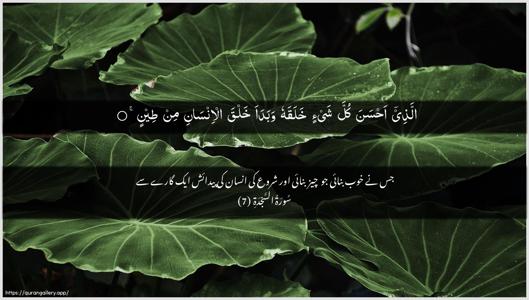 As-Sajda Ayah 7 - Arabic + Urdu wallpaper