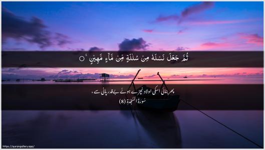 As-Sajda Ayah 8 - Arabic + Urdu wallpaper