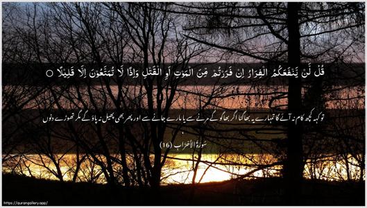 Al-Ahzaab Ayah 16 - Arabic + Urdu wallpaper