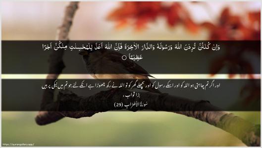 Al-Ahzaab Ayah 29 - Arabic + Urdu wallpaper