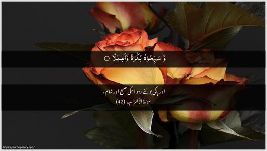 Al-Ahzaab Ayah 42 - Arabic + Urdu wallpaper