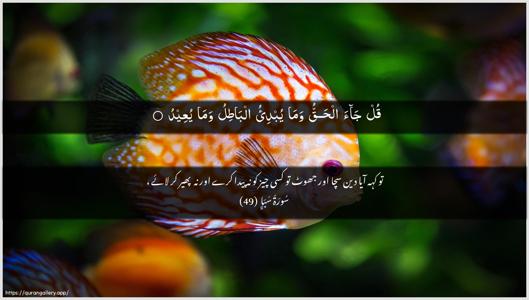 Saba Ayah 49 - Arabic + Urdu wallpaper