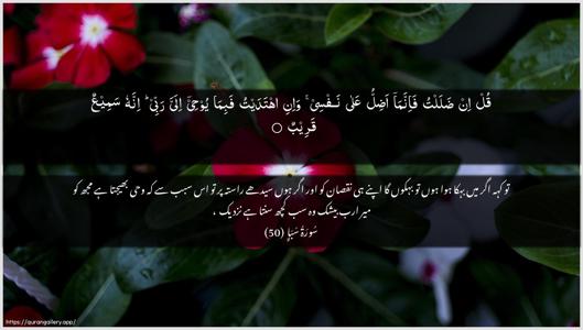 Saba Ayah 50 - Arabic + Urdu wallpaper