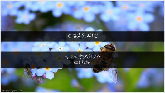 Faatir Ayah 23 - Arabic + Urdu wallpaper