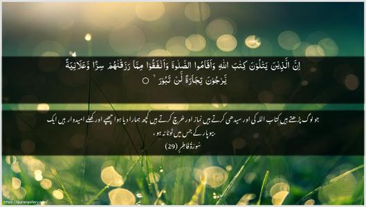 Faatir Ayah 29 - Arabic + Urdu wallpaper