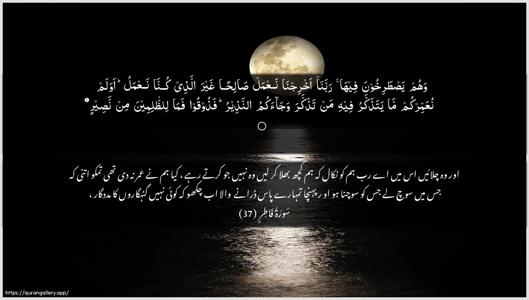 Faatir Ayah 37 - Arabic + Urdu wallpaper