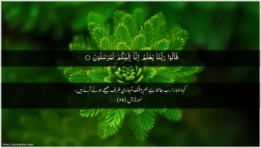 Yaseen Ayah 16 - Arabic + Urdu wallpaper