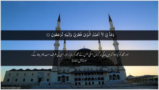 Yaseen Ayah 22 - Arabic + Urdu wallpaper
