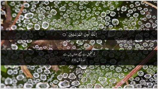 Yaseen Ayah 3 - Arabic + Urdu wallpaper