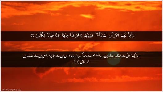 Yaseen Ayah 33 - Arabic + Urdu wallpaper