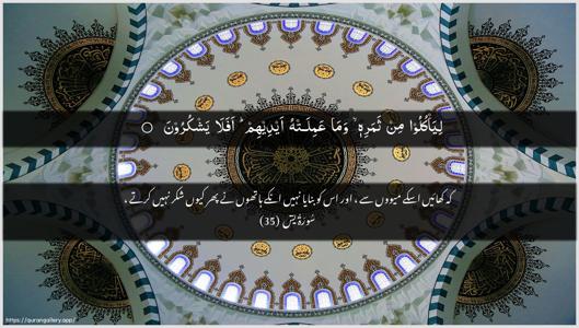 Yaseen Ayah 35 - Arabic + Urdu wallpaper