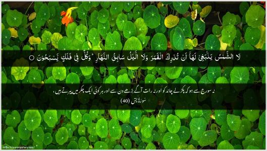 Yaseen Ayah 40 - Arabic + Urdu wallpaper