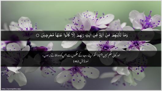 Yaseen Ayah 46 - Arabic + Urdu wallpaper
