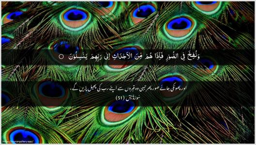 Yaseen Ayah 51 - Arabic + Urdu wallpaper