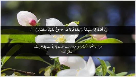 Yaseen Ayah 53 - Arabic + Urdu wallpaper