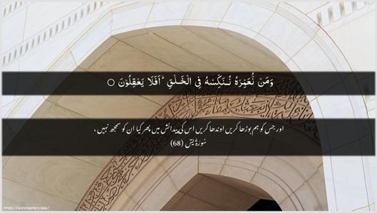 Yaseen Ayah 68 - Arabic + Urdu wallpaper