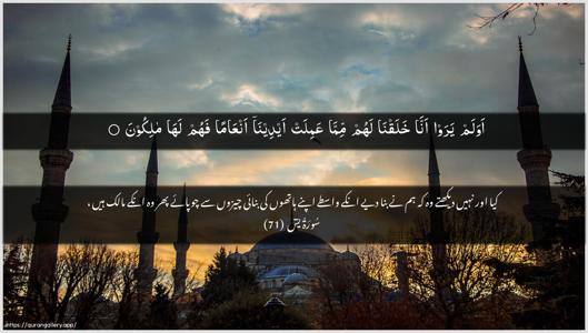 Yaseen Ayah 71 - Arabic + Urdu wallpaper