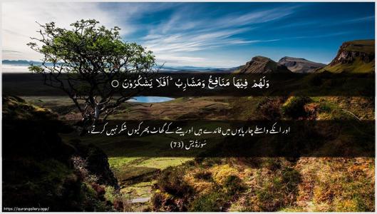 Yaseen Ayah 73 - Arabic + Urdu wallpaper