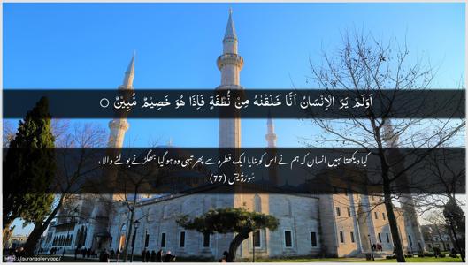 Yaseen Ayah 77 - Arabic + Urdu wallpaper
