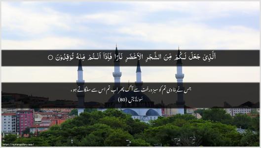 Yaseen Ayah 80 - Arabic + Urdu wallpaper