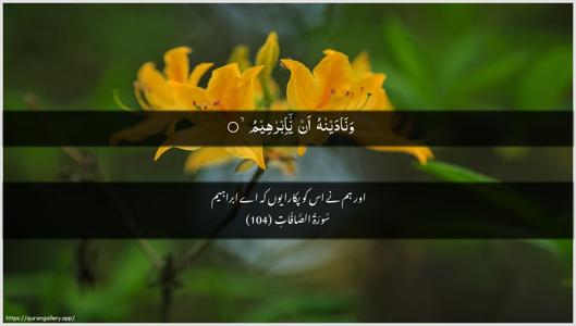 As-Saaffaat Ayah 104 - Arabic + Urdu wallpaper