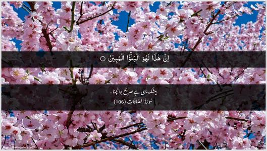 As-Saaffaat Ayah 106 - Arabic + Urdu wallpaper