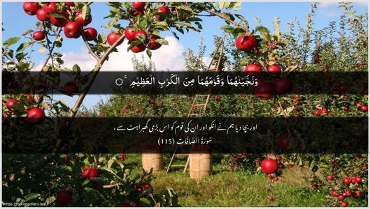 As-Saaffaat Ayah 115 - Arabic + Urdu wallpaper