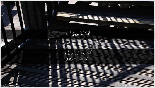 As-Saaffaat Ayah 155 - Arabic + Urdu wallpaper