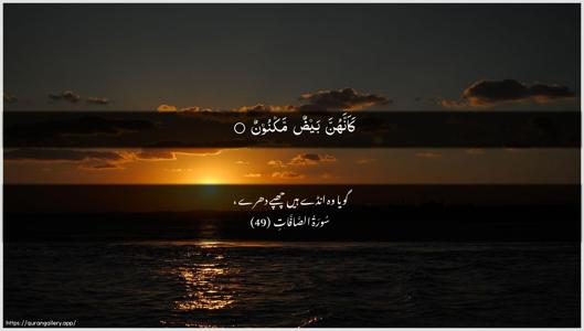 As-Saaffaat Ayah 49 - Arabic + Urdu wallpaper