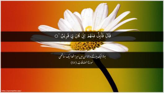As-Saaffaat Ayah 51 - Arabic + Urdu wallpaper