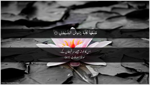 As-Saaffaat Ayah 65 - Arabic + Urdu wallpaper