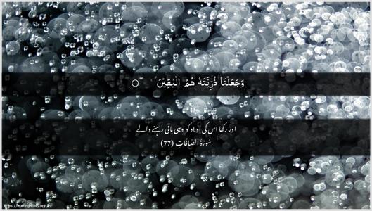 As-Saaffaat Ayah 77 - Arabic + Urdu wallpaper