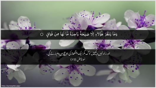 Saad Ayah 15 - Arabic + Urdu wallpaper
